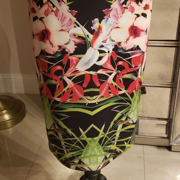 TED Baker London Gorgeous Dress Size 1 (XS-S) NWOT - Picture 3 of 8
